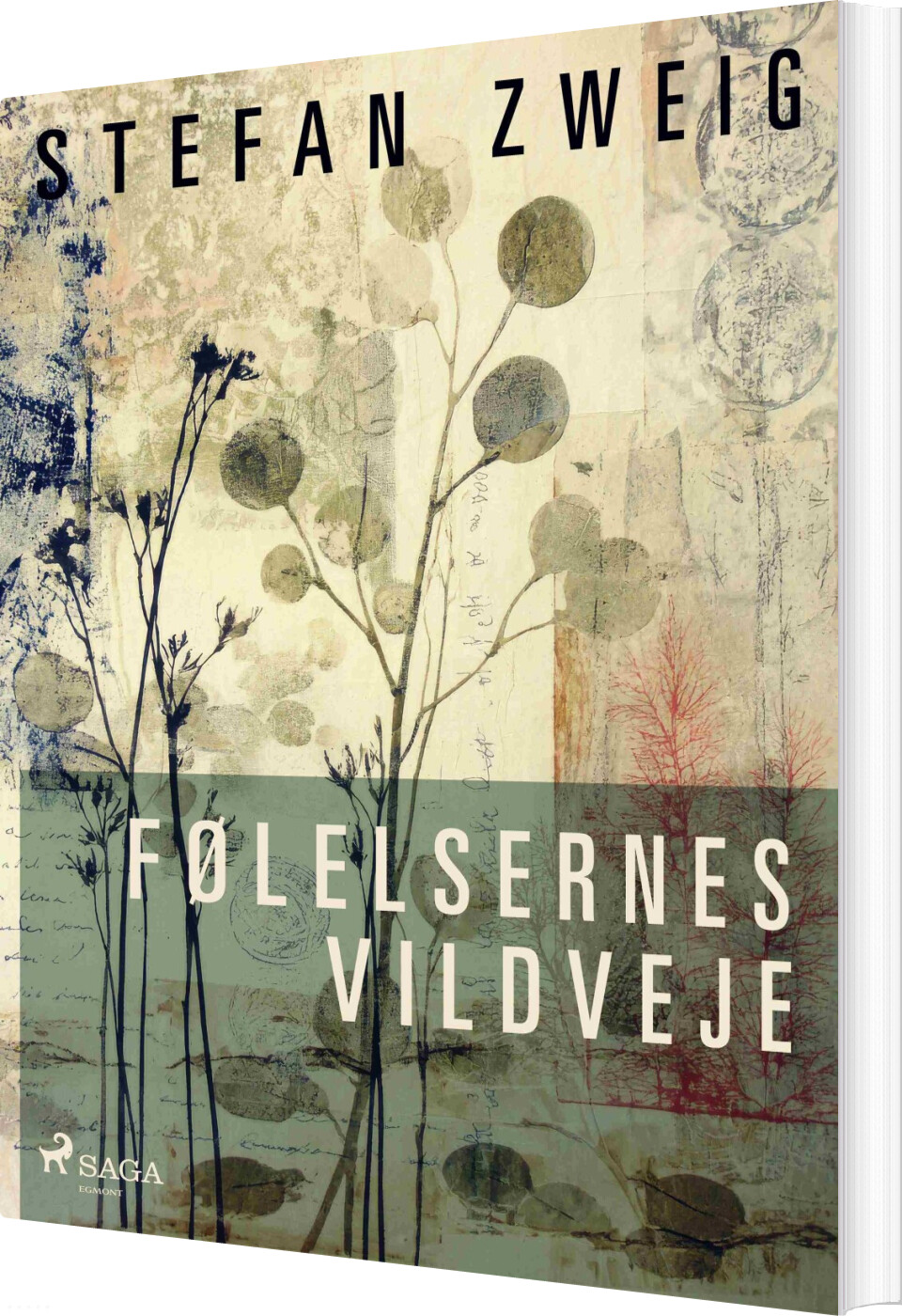 Følelsernes Vildveje - Stefan Zweig - Bog