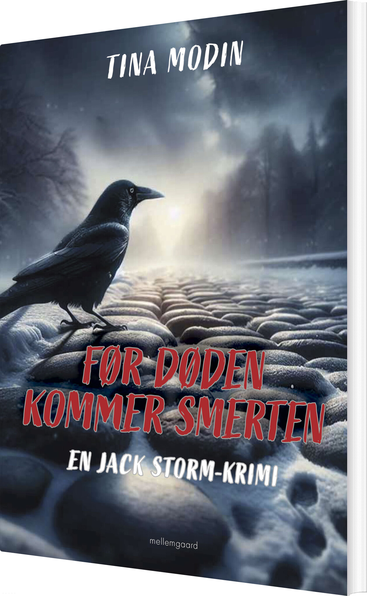 Før Døden Kommer Smerten - Tina Modin - Bog