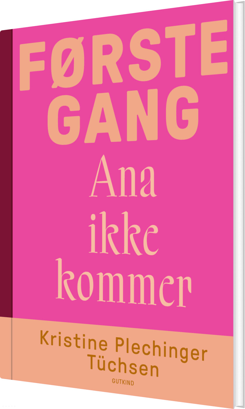 Billede af Første Gang Ana Ikke Kommer - Kristine Plechinger Tuchsen - Bog
