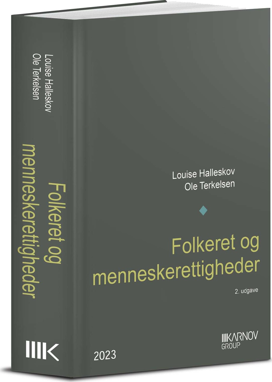 Folkeret Og Menneskerettigheder - Ole Terkelsen - Bog