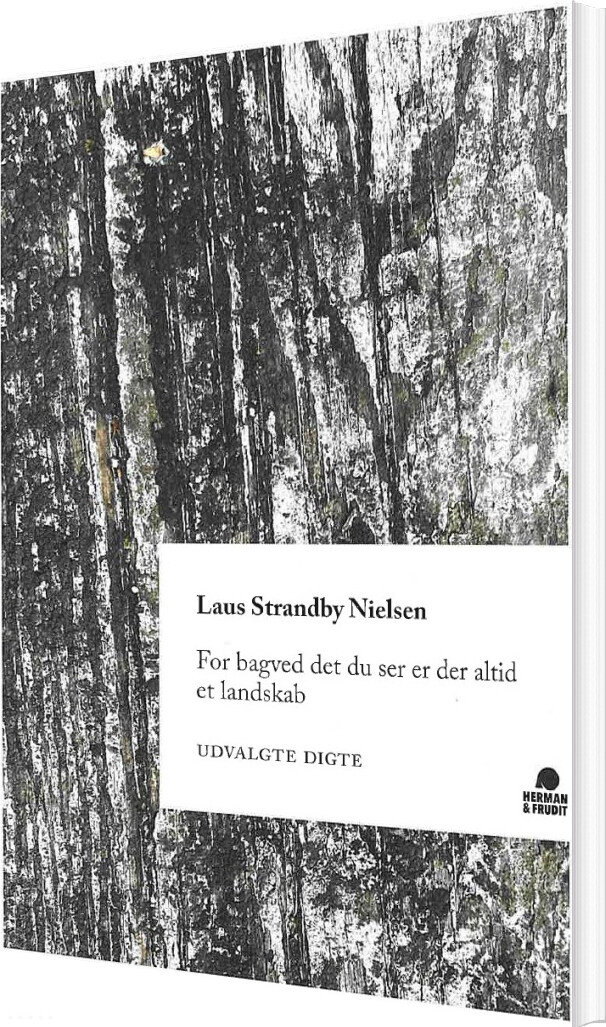 Billede af For Bagved Det Du Ser Er Der Altid Et Landskab - Laus Strandby Nielsen - Bog