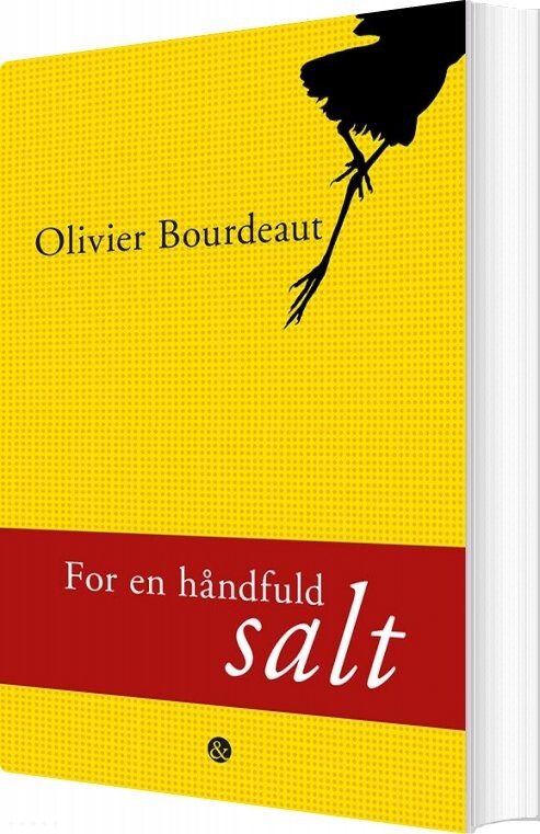 For En Håndfuld Salt - Olivier Bourdeaut - Bog