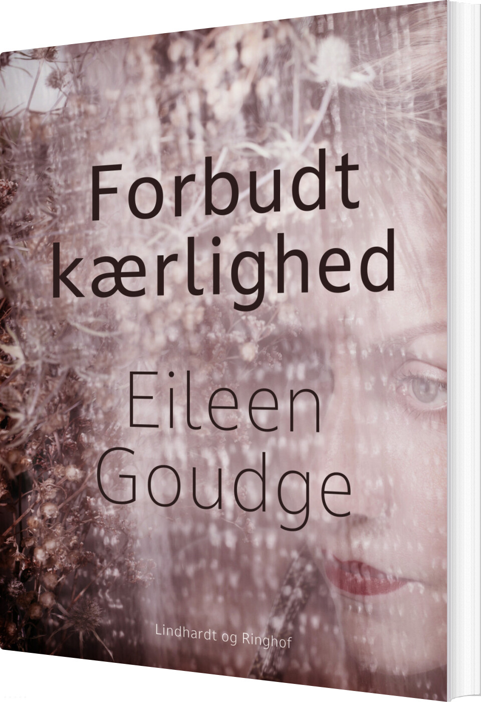 Forbudt Kærlighed - Eileen Goudge - Bog