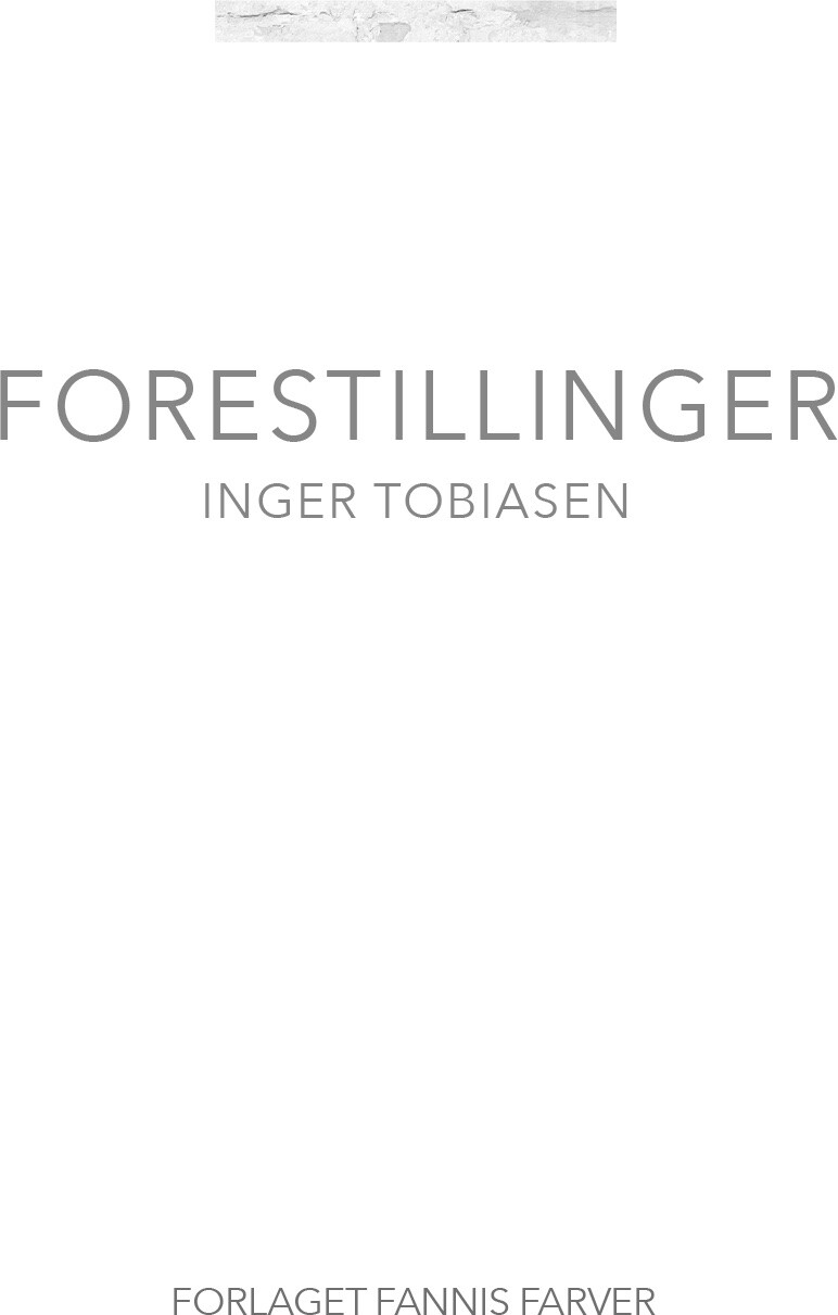Forestillinger - Inger Tobiasen - Bog