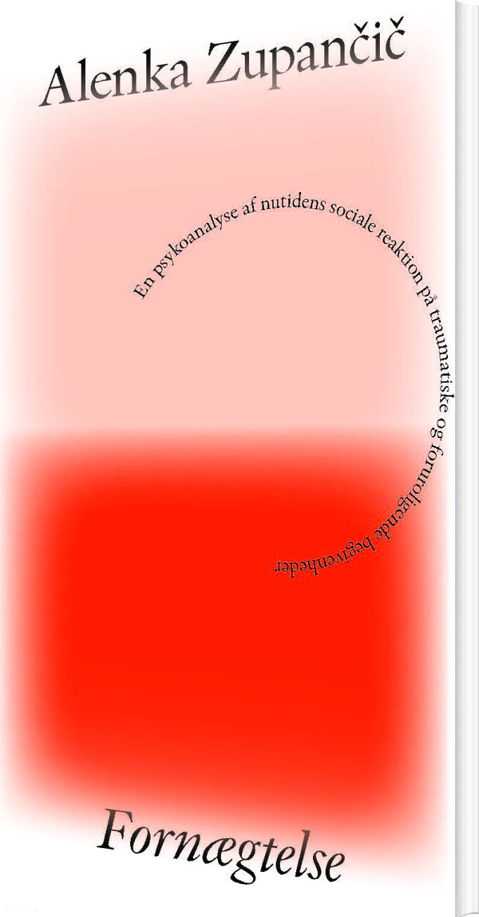 Fornægtelse - Alenka Zupani - English Book