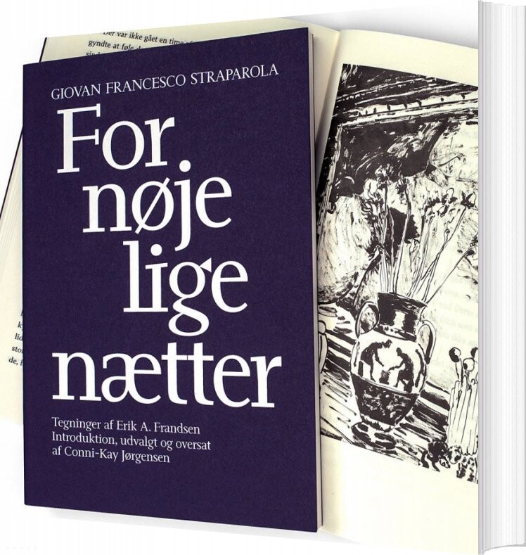 Billede af Fornøjelige Nætter - Giovan Francesco Straparola - Bog