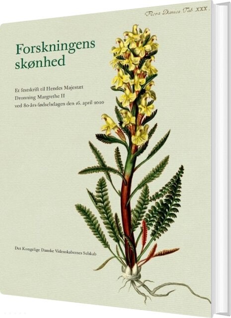 Forskningens Skønhed - Marita Akhøj Nielsen - Bog