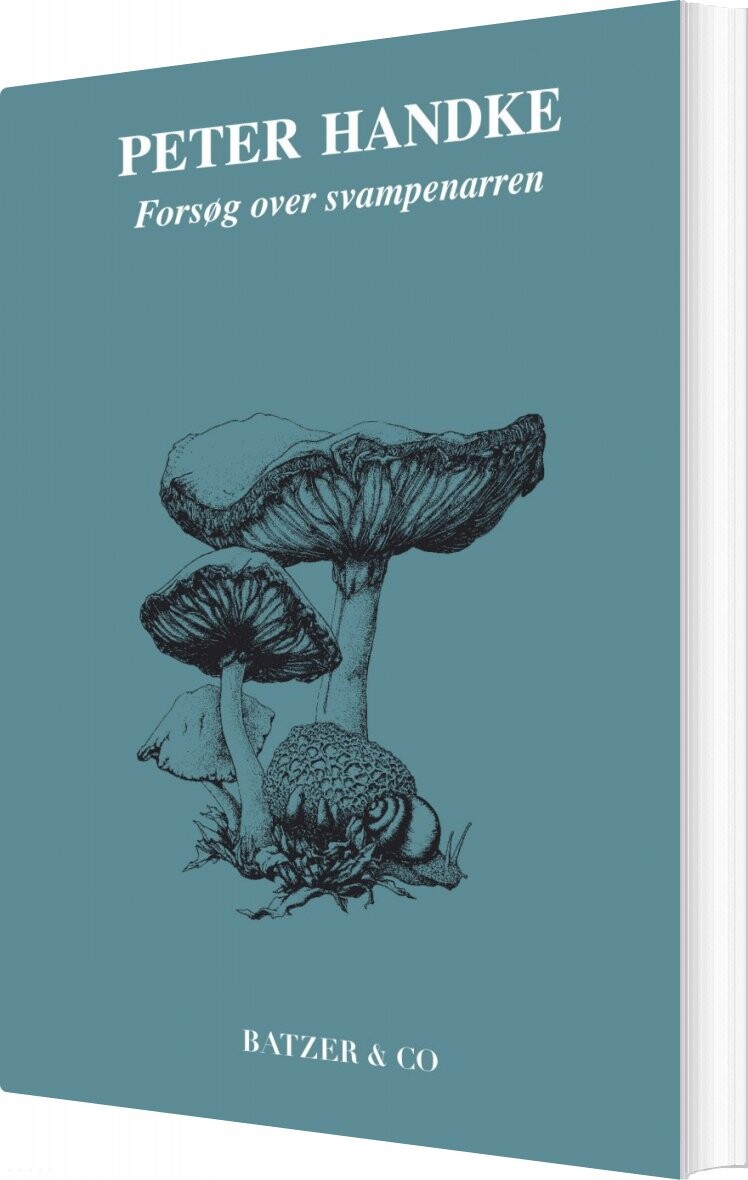 Billede af Forsøg Over Svampenarren - Peter Handke - Bog