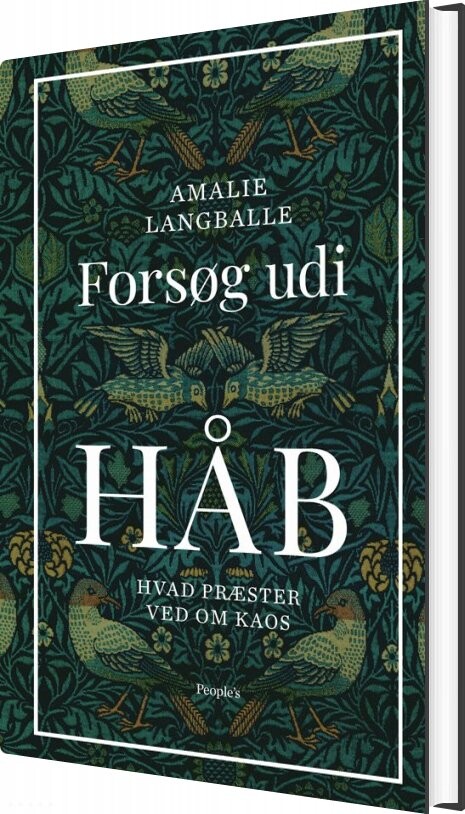 Forsøg Udi Håb - Amalie Langballe - Bog