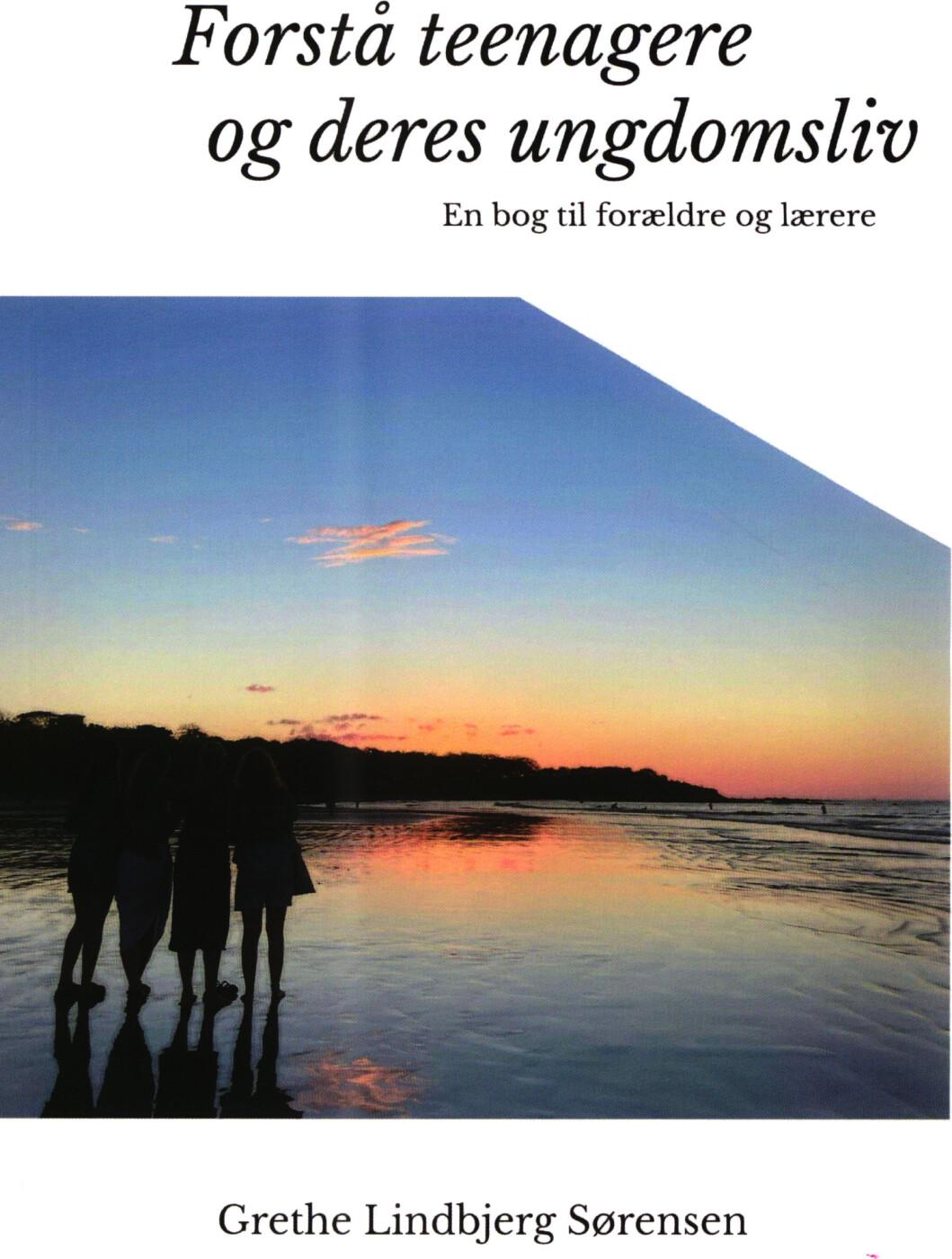 Billede af Forstå Teenagere Og Deres Ungdomsliv - Grethe Lindbjerg Sørensen - Bog