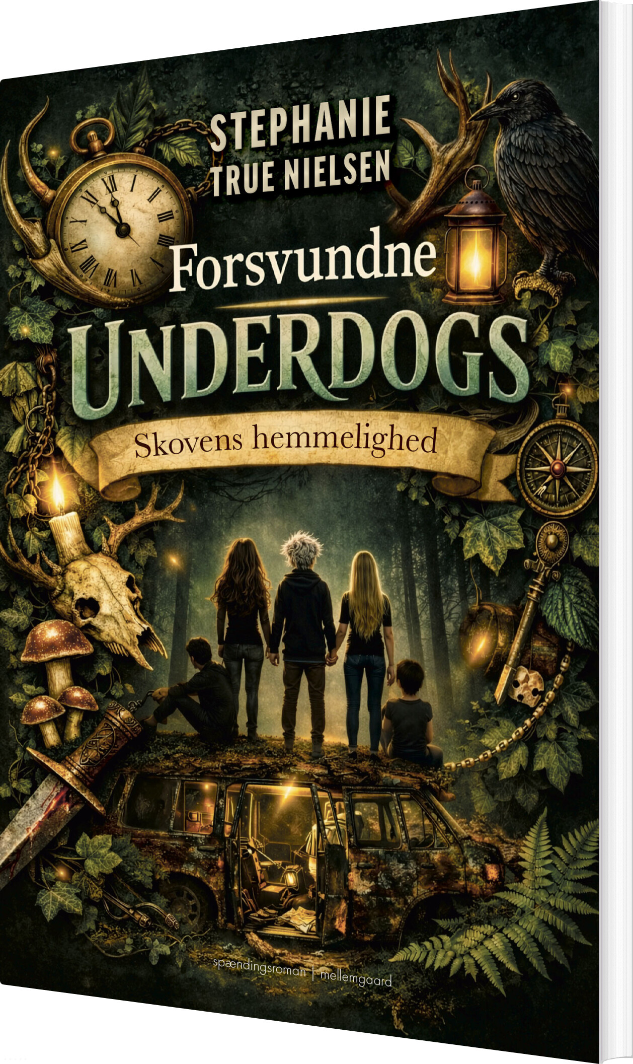 Forsvundne Underdogs - Stephanie True Nielsen - Bog