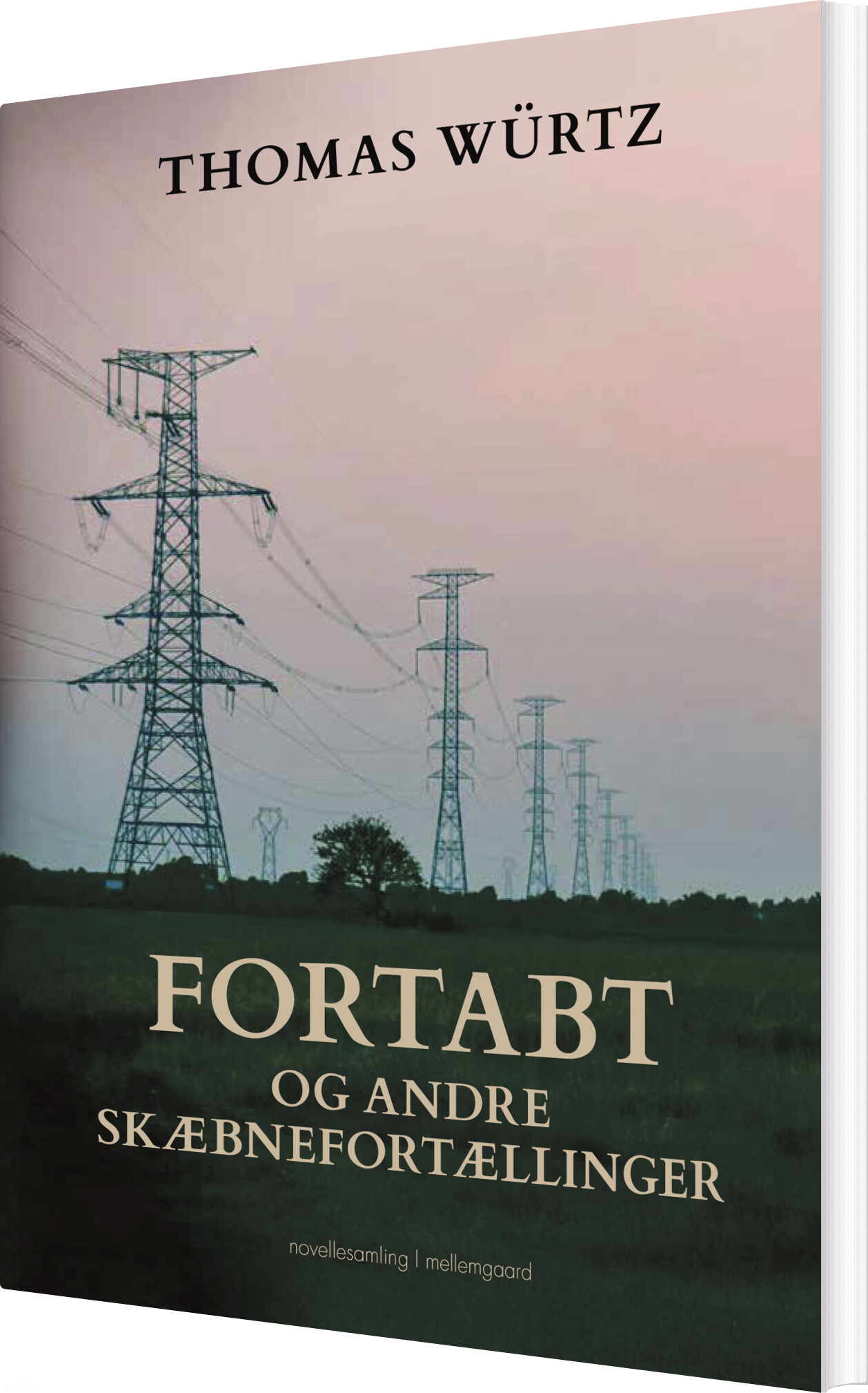Fortabt Og Andre Skæbnefortællinger - Thomas Würtz - Bog