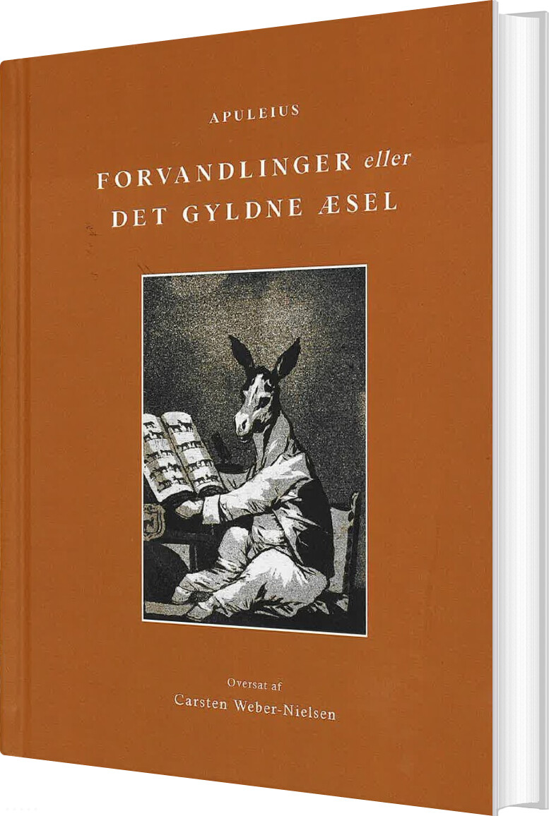 Billede af Forvandlinger Eller Det Gyldne æsel - Carsten Weber-nielsen - Bog