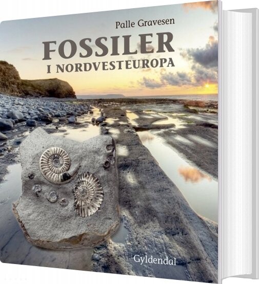 Fossiler I Nordvesteuropa - Palle Gravesen - Bog