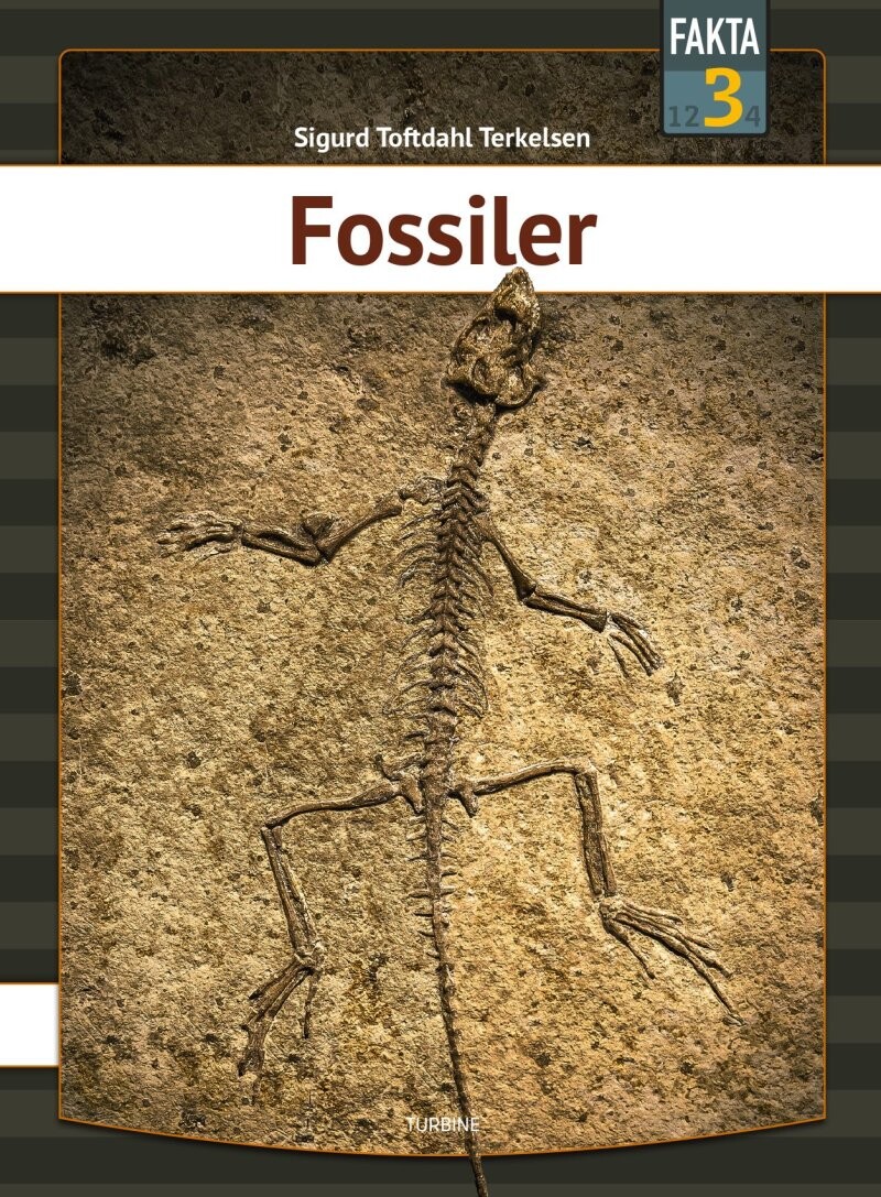 Billede af Fossiler - Sigurd Toftdahl Terkelsen - Bog