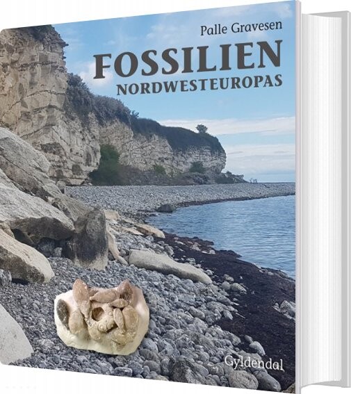 Billede af Fossilien Nordwesteuropas - Palle Gravesen - Bog