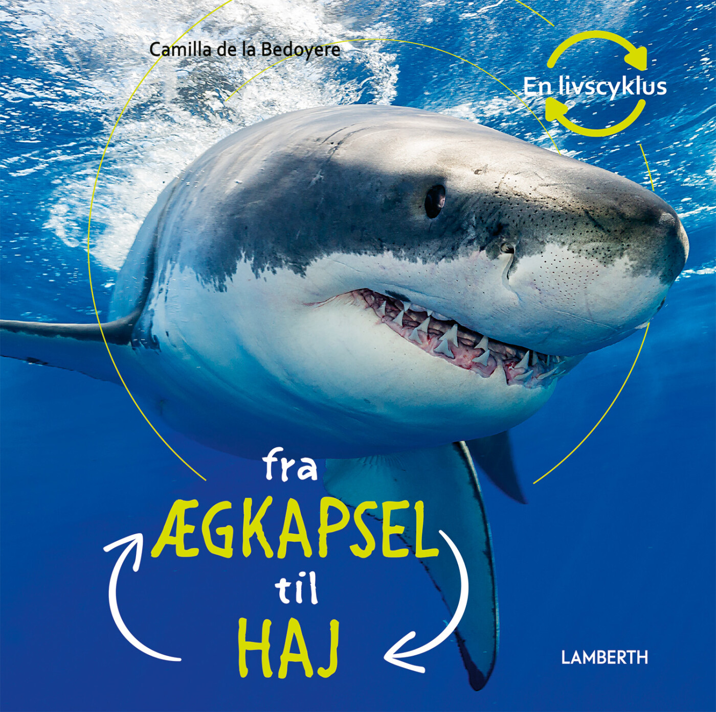 Fra ægkapsel Til Haj - Camilla De La Bédoyére - Bog