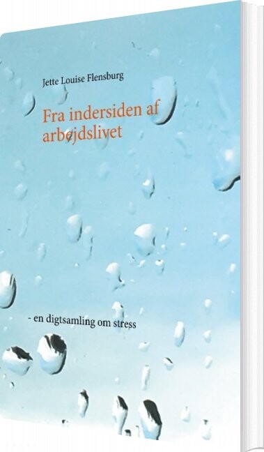 Billede af Fra Indersiden Af Arbejdslivet - Jette Louise Flensburg - Bog