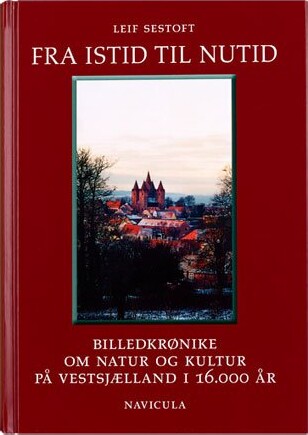 Billede af Fra Istid Til Nutid - Leif Sestoft - Bog