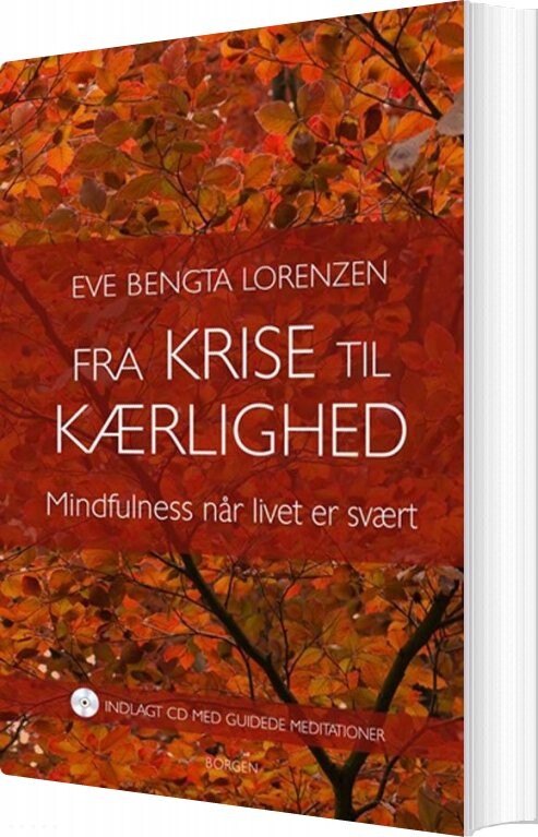Billede af Fra Krise Til Kærlighed - Eve Bengta Lorenzen - Bog
