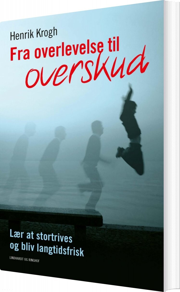 Billede af Fra Overlevelse Til Overskud - Henrik Krogh - Bog