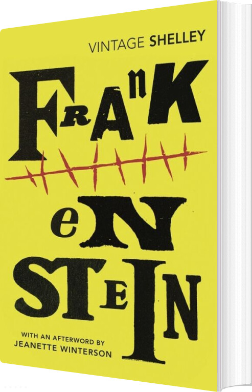 Frankenstein - Mary Shelley - English Book