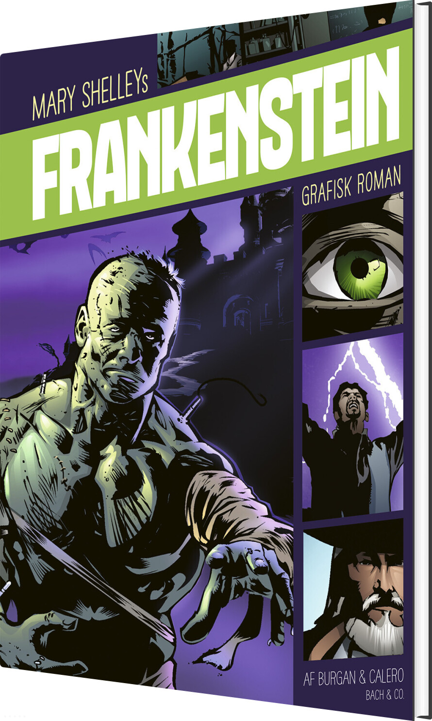 Frankenstein - Michael Burgan - Bog
