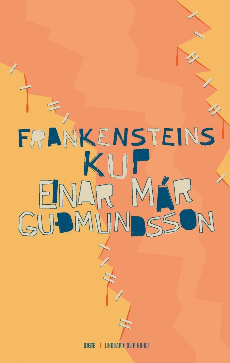 Billede af Frankensteins Kup - Einar Már Gudmundsson - Bog