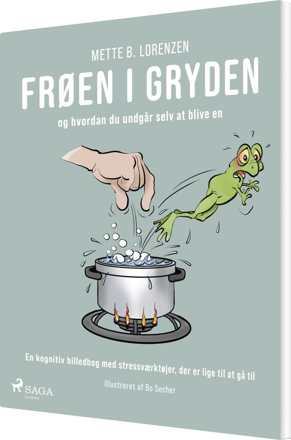 Frøen I Gryden - Mette B. Lorenzen - Bog
