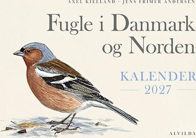 Fugle i Danmark og Norden - Kalender 2027 | Axel Kielland, Jens Frimer Andersen