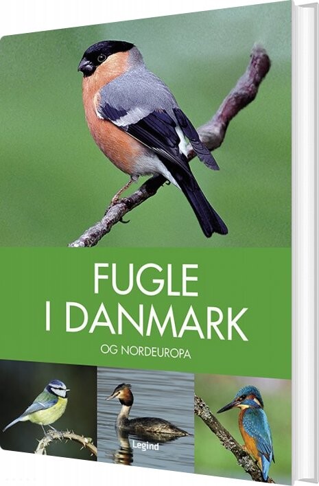 Billede af Fugle I Danmark - Peter Goodfellow - Bog