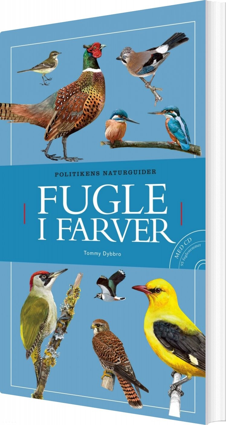 Billede af Fugle I Farver - Tommy Dybbro - Bog