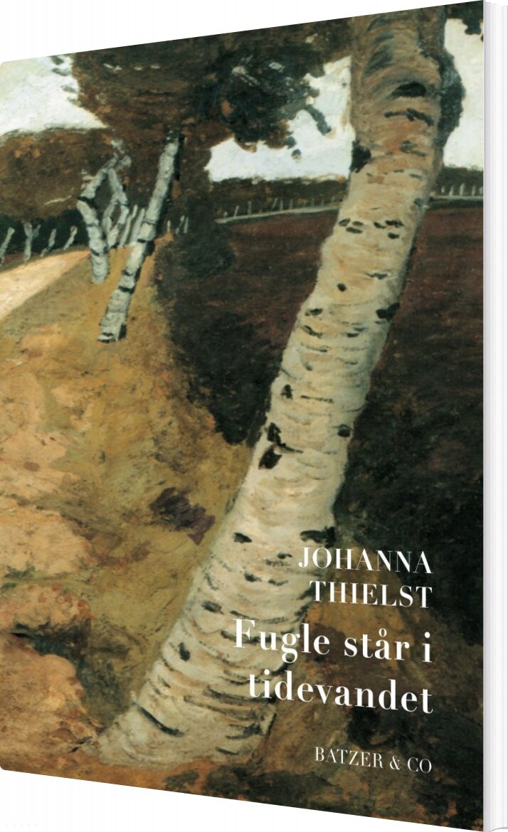 Billede af Fugle Står I Tidevandet - Johanna Thielst - Bog