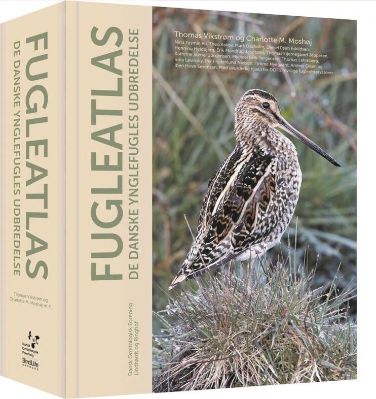 Billede af Fugleatlas - Thomas Vikstrøm - Bog
