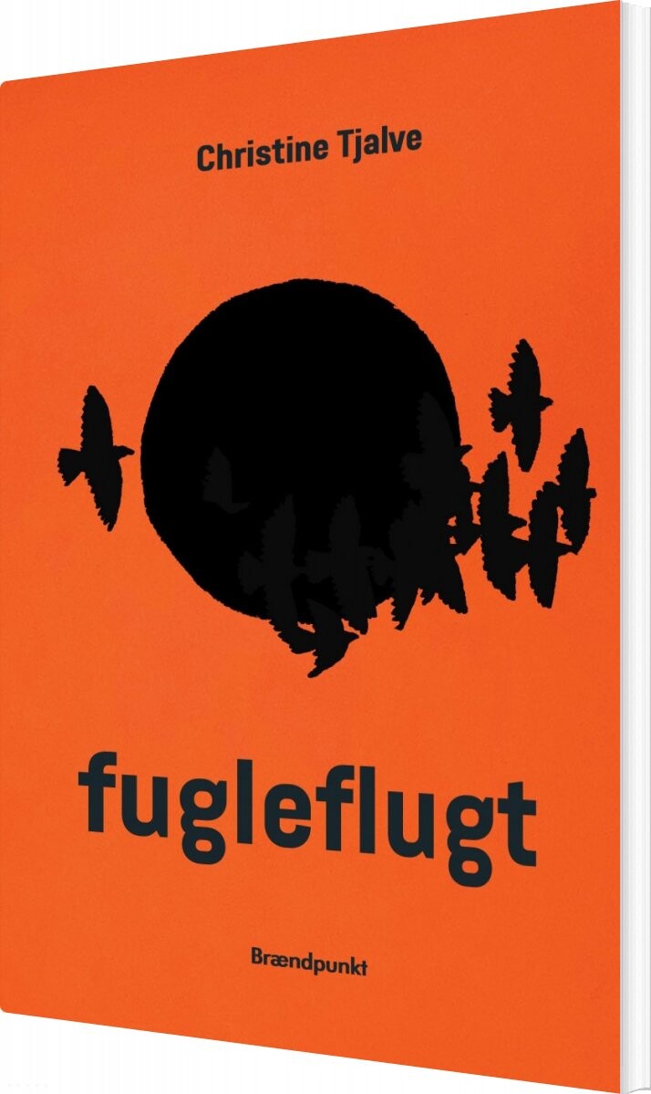 Billede af Fugleflugt - Christine Tjalve - Bog