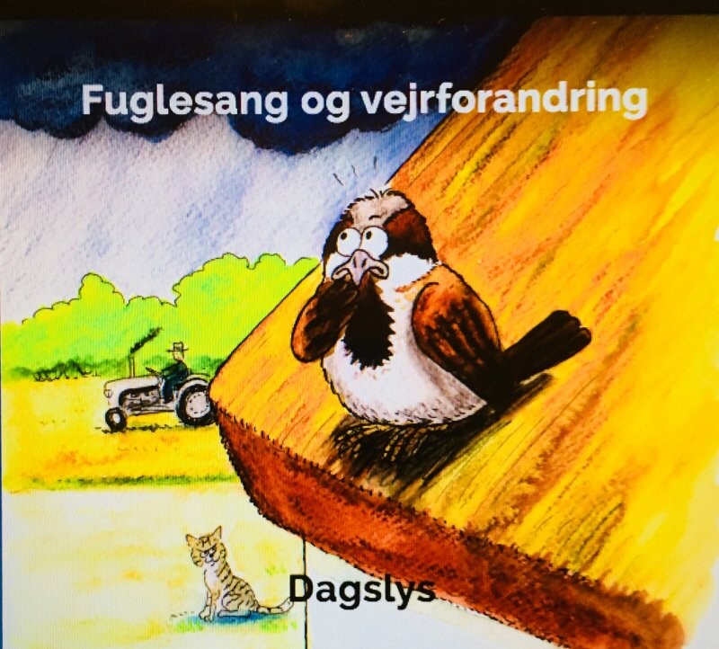 Dagslys - Fuglesang Og Vejrforandring - CD
