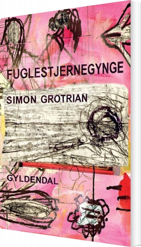 Billede af Fuglestjernegynge - Simon Grotrian - Bog
