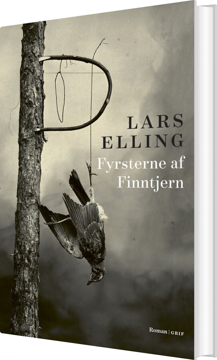 Fyrsterne Af Finntjern - Lars Elling - Bog