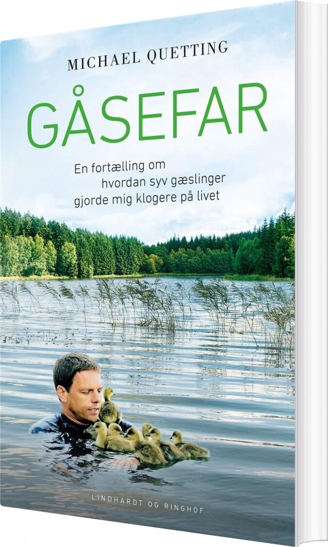 Billede af Gåsefar - En Fortælling Om Hvordan Syv Gæslinger Gjorde Mig Klogere På Livet - Michael Quetting - Bog