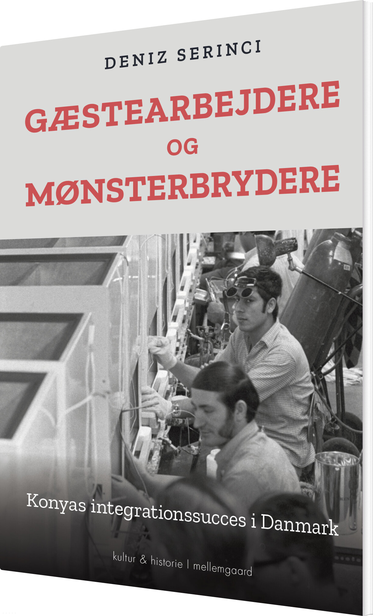 Gæstearbejdere Og Mønsterbrydere - Deniz Serinci - Bog