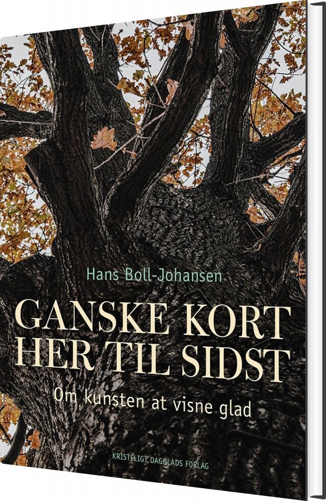 Ganske Kort Her Til Sidst - Hans Boll-johansen - Bog