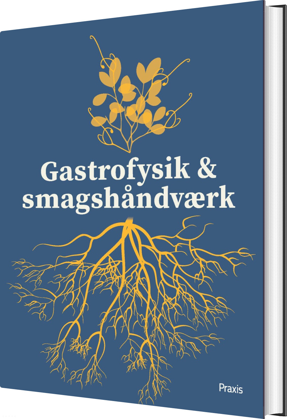 Gastrofysik Og Smagshåndværk - Morten Christensen - Bog