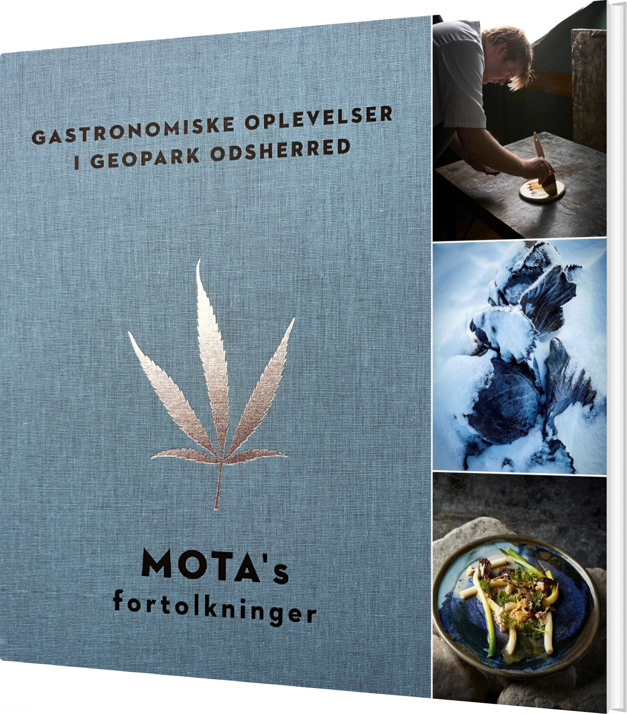 Gastronomiske Oplevelser I Geopark Odsherred - Mota's Fortolkninger - Helle Nordgaard - Bog