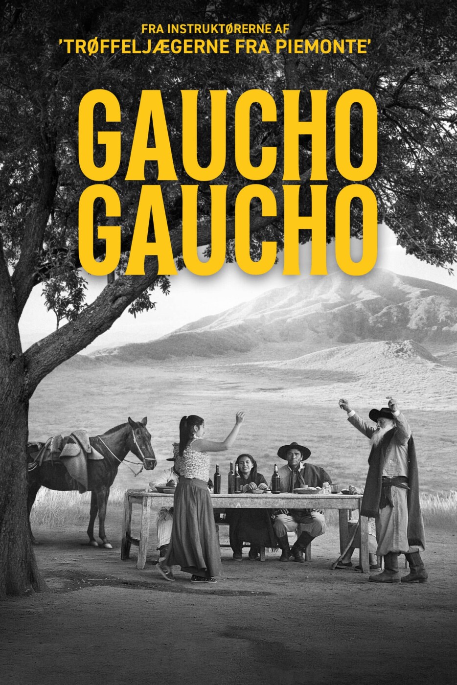Gaucho Gaucho - DVD - Film