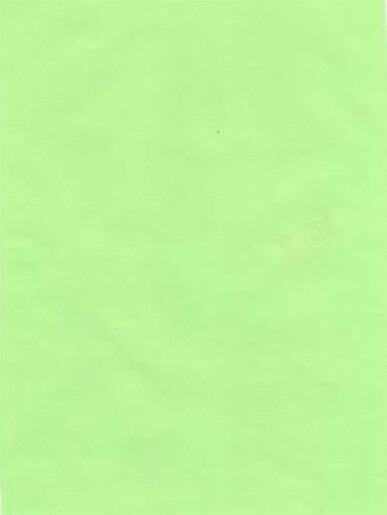 Gavepapir - Stor Rulle 150 M X 40 Cm - Lime Lak