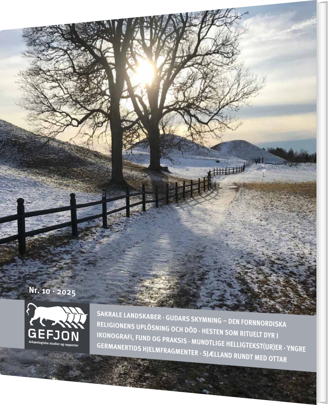 Gefjon 10 - Kristoffer Buck Pedersen - Bog