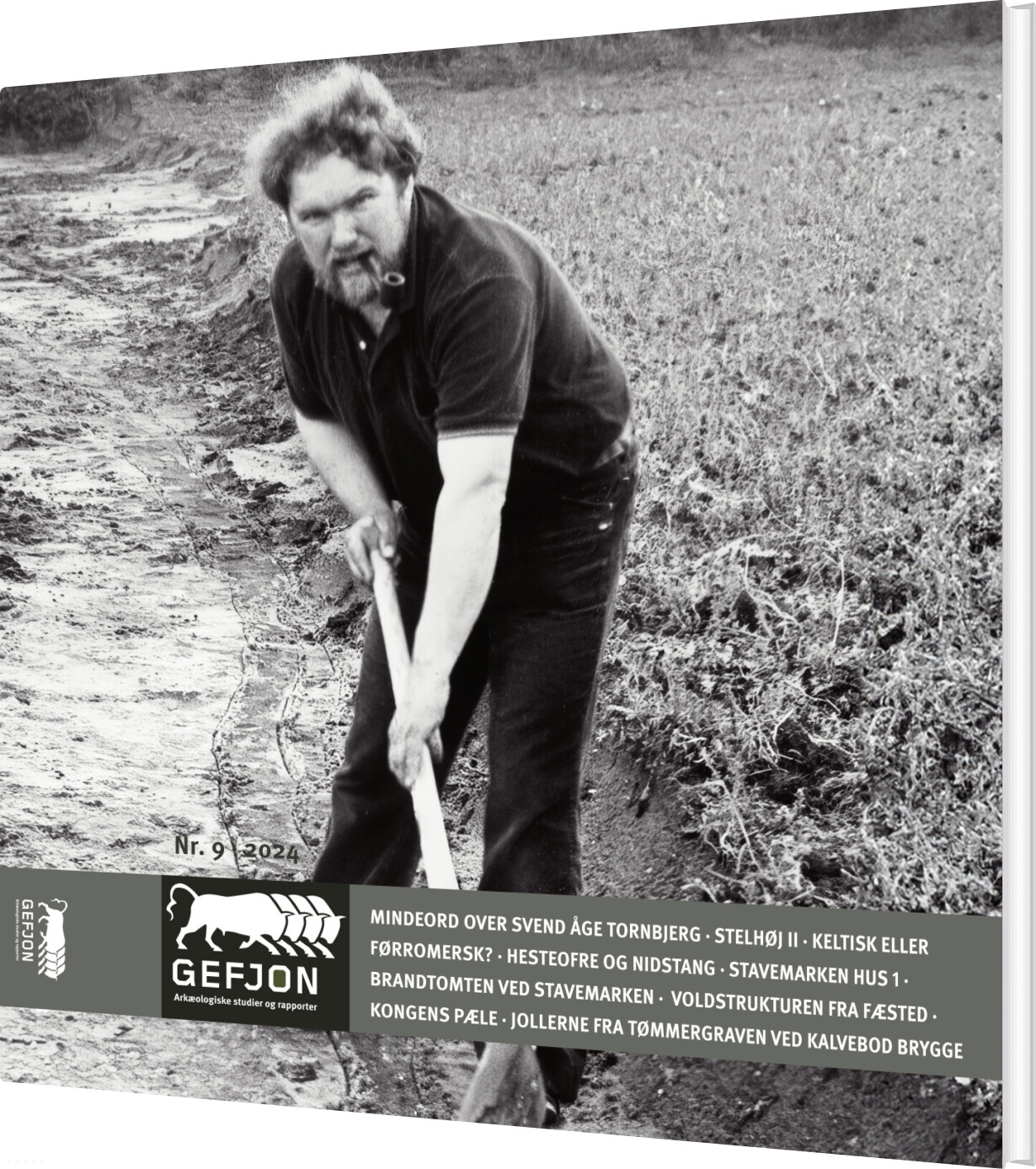 Billede af Gefjon 9 - David Gregory - Bog