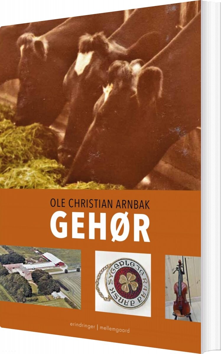 Gehør - Ole Christian Arnbak - Bog