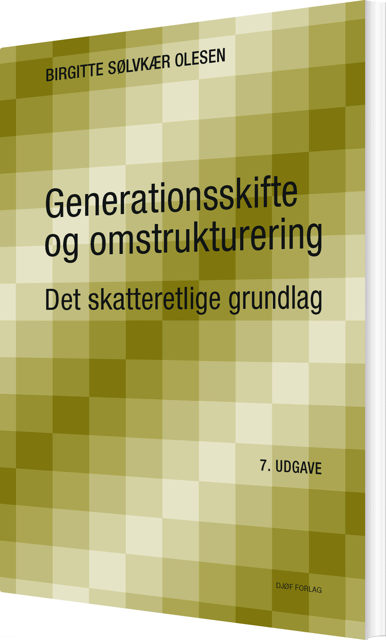 Generationsskifte Og Omstrukturering - Birgitte Sølvkær Olesen - Bog