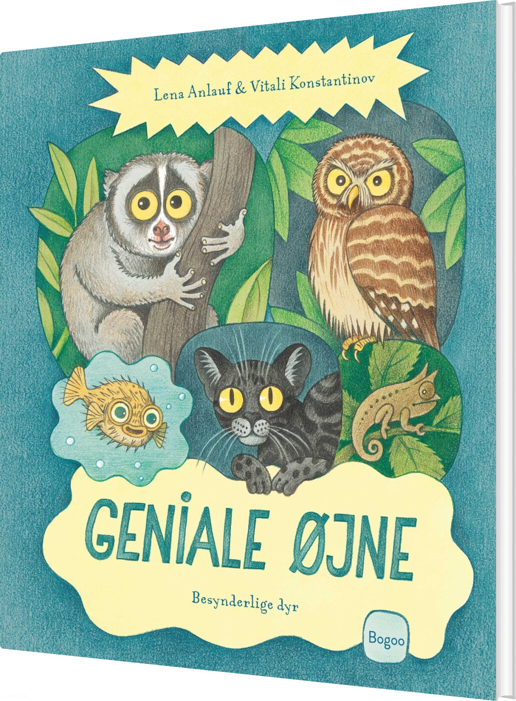 Geniale øjne - Lena Anlauf - Bog